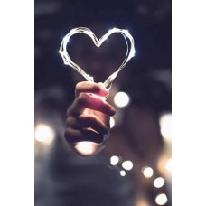 Gümüş Tel Peri Led Işık 5M Beyaz